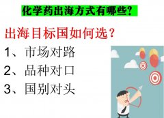 化学药如何出海出口东南亚？