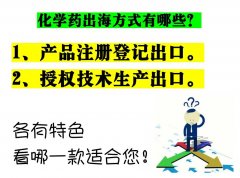 化学药如何出海出口东南亚？